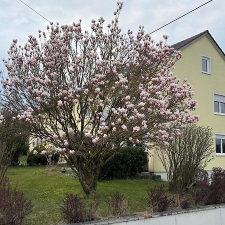 W&P Living Wohnung Mit Ausblick - Parkplatz Biberbach  Екстериор снимка