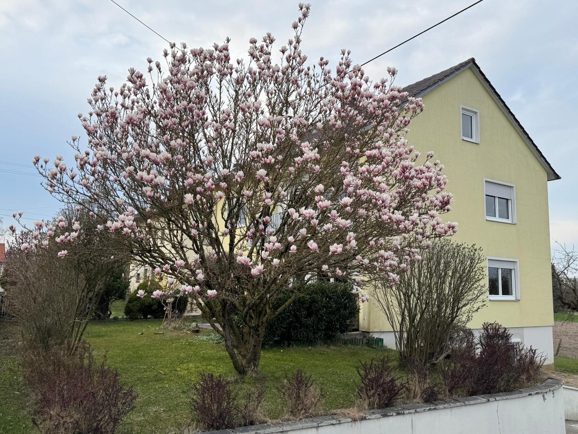 W&P Living Wohnung Mit Ausblick - Parkplatz Biberbach  Екстериор снимка
